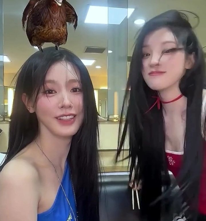 how it started                    how it ended