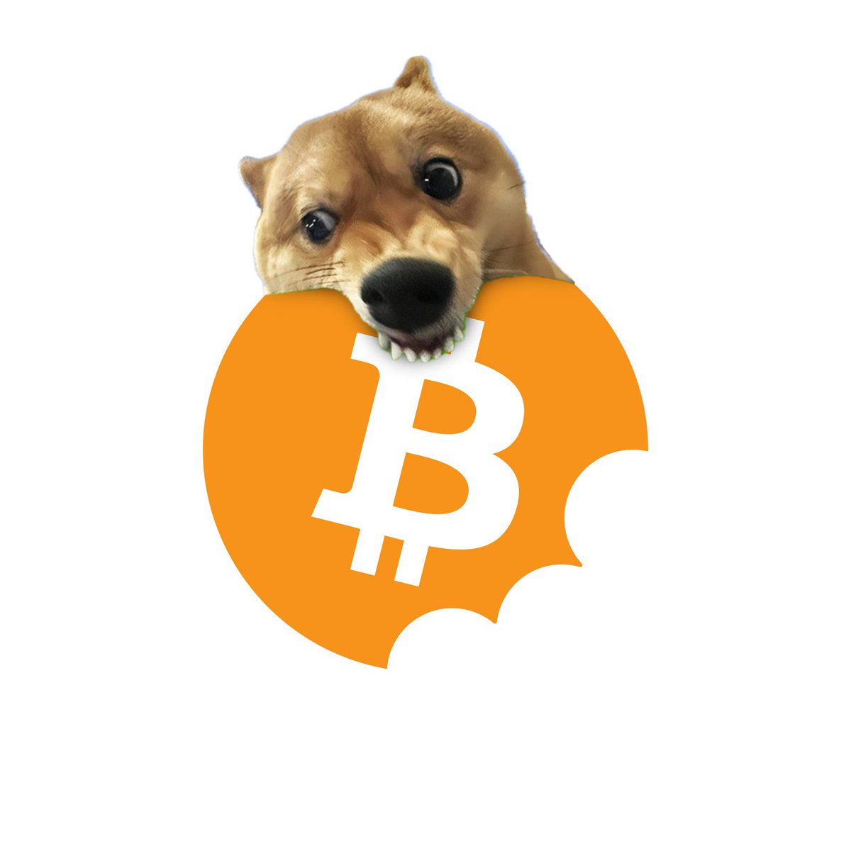 Fk $BTC we buying #Bitecoin 

$BITE 

3NMK55CqJXh6YnZJ4W1g4yHqEjSQtNK79sfKoGsPpump