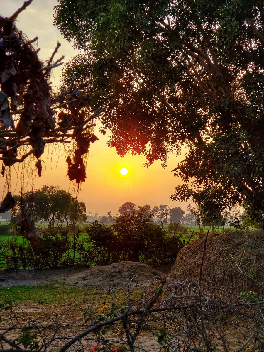 आपके साथ कैसा व्यवहार करना है 
ये आपकी हरकतें तय करेंगी
क्योंकि, मैं इतना बुरा भी नहीं, 
की अच्छे के साथ बुरा बर्ताव करूं, 
और इतना अच्छा भी नहीं की आपके गलत करने पर भी मैं आपके साथ कुछ भी अच्छा करूं।
Good morning my all friends
