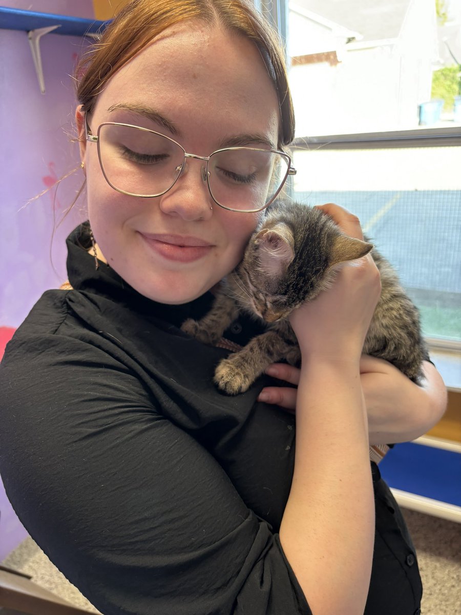 My new son, Frodo 🥹❤️