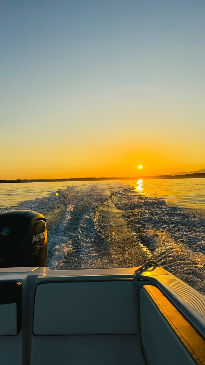 Alexandre tweet media