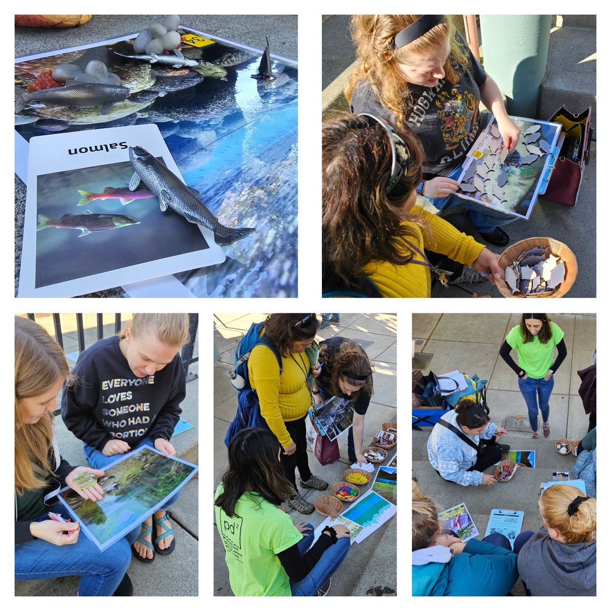 Professional Development Play Dates (PD²) (@prodevplaydates) on Twitter photo Such a fun day playing with Seattle-area teachers at the Issaquah Salmon Hatchery! We explored:
📖 Stories of salmon (oral & written)
🔢 Counting salmon
📊 Local data about salmon
🌱Native plants & their impact on salmon
🐟Math stories about place (idea from <a href="/jnovakowski_/">Janice Novakowski</a>) Such a fun day playing with Seattle-area teachers at the Issaquah Salmon Hatchery! We explored:
📖 Stories of salmon (oral & written)
🔢 Counting salmon
📊 Local data about salmon
🌱Native plants & their impact on salmon
🐟Math stories about place (idea from <a href="/jnovakowski_/">Janice Novakowski</a>)