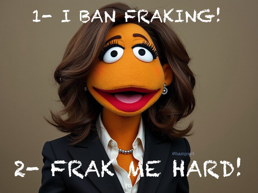 HamyArt's tweet photo. @KamalaHarris Exhausted same 4yr old playbook, read by a puppet.
#kamalaisapuppet https://t.co/z5n0vWPiCj