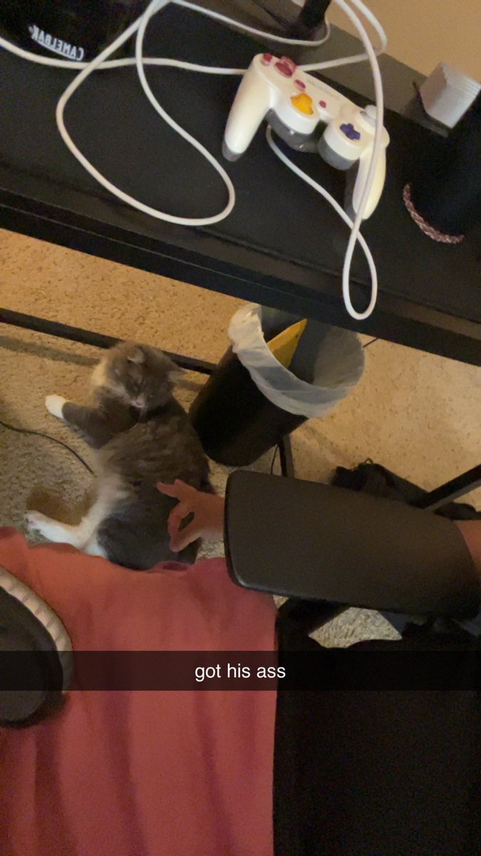 flowtat0's tweet image. #pwned