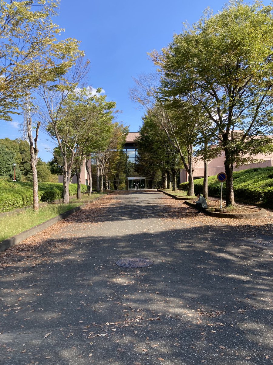 次回のヨスコア本番まで約4ヶ月。
今日から合宿です。いい天気！