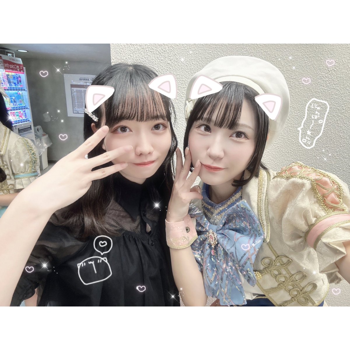 にゃんこさん😽🎀 (@me__charu) / Posts / X