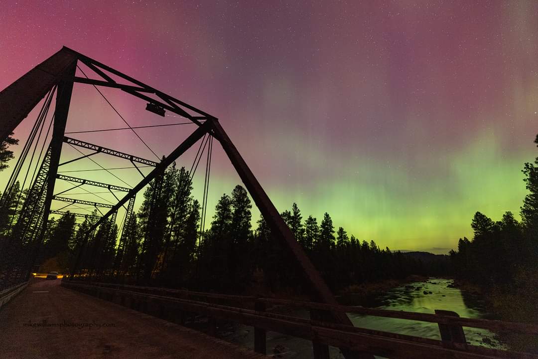 mike williams tweet media