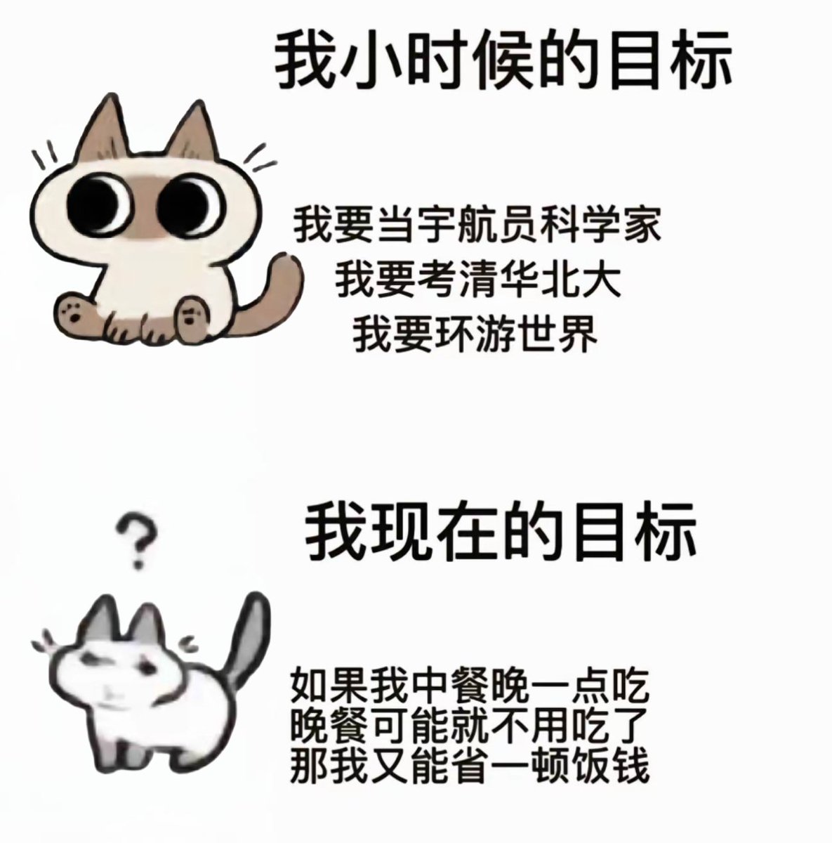 真不敢相信，我已经活成这个样子了 https://t.co/MvQtHe2kSS