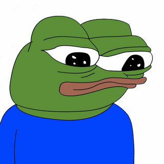 King Bear tweet media