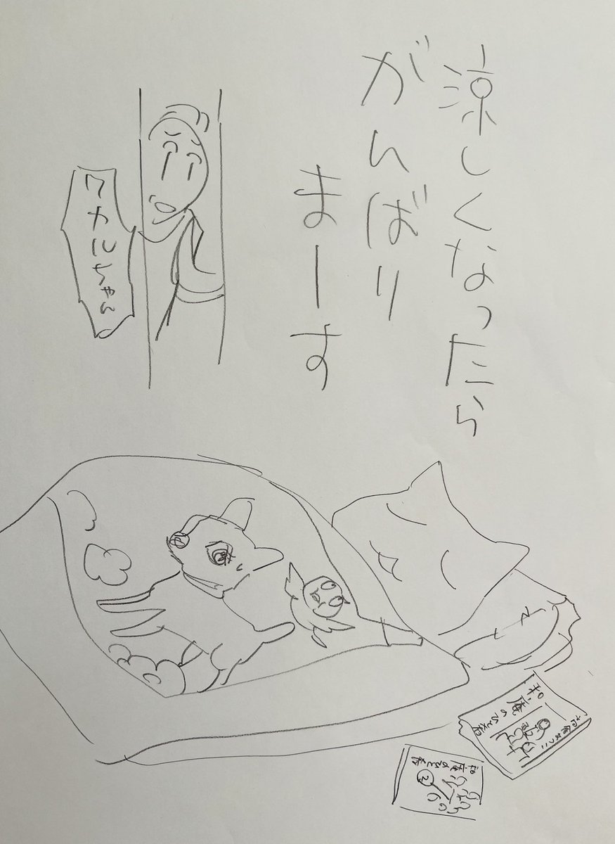 起きてる人、こんにちは〜
寝てる人、 、、、(静寂)、、、、
日曜日だと気がゆるんで
少々余計なことをしていたら
午後2時になってました
締切には間に合わないということが読めてきました
などと言っていられる立場ではないので
必死にならねばなりません
しかしこの頃