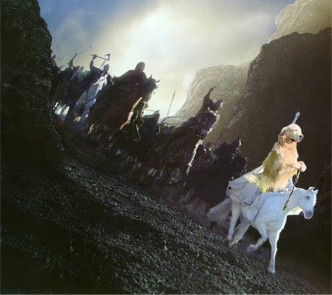 GandalfGolden's tweet image. Look to my coming on the first light of the fifth day, at dawn look to the east.