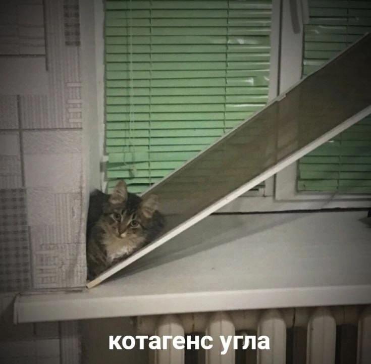 Gribanov ☢ ᓚᘏᗢ (@gribanov) on Twitter photo 