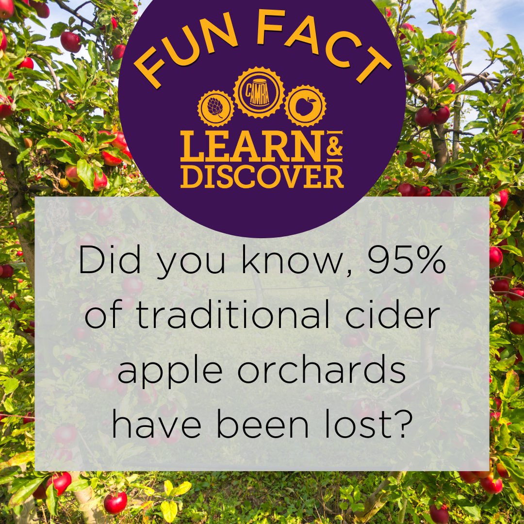 CAMRA_Official's tweet image. 🤔 Did you know, 95% of traditional cider apple orchards have been lost?

🍎 Learn how cider is made with Gabe Cook (@theciderologist) and how characteristics in apples and pears add to the flavour of cider on our #LearnandDiscover platform!

👉 Read here: ow.ly/LsYn50TJLNs