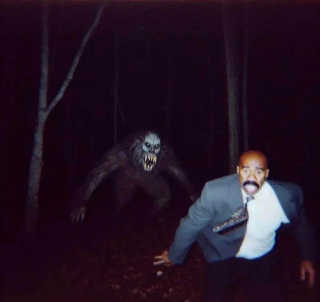 JoshDL_'s tweet photo. Gen 3 Wild Pokemon Encounters would’ve been like this https://t.co/QmLMUS0bCD