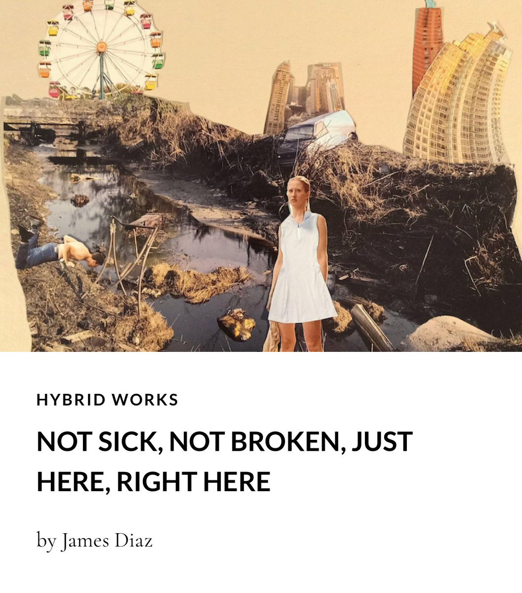 We love these gorgeous hybrid art pieces by James Diaz,  including “Not Sick, Not Broken, Just Here, Right Here,” and others, in our Issue 11 of Harpy Hybrid Review, harpyhybridreview.org.
