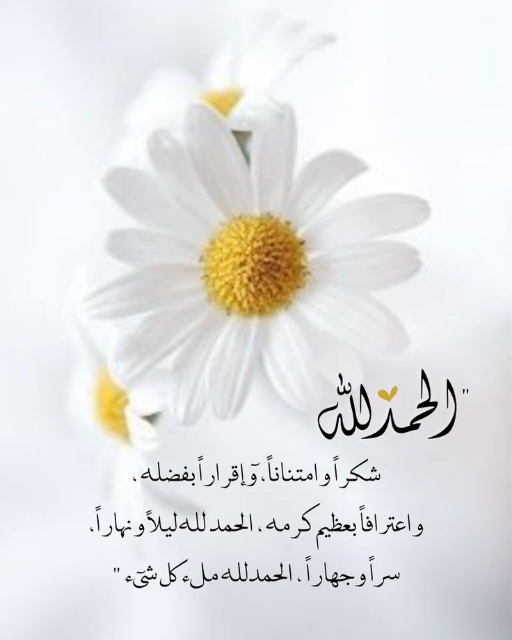🅰 .. أ .. م .. ل (@aml771177) on Twitter photo 