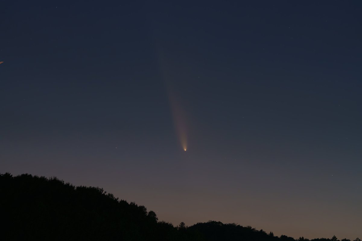 mspgothic's tweet image. 紫金山・アトラス彗星