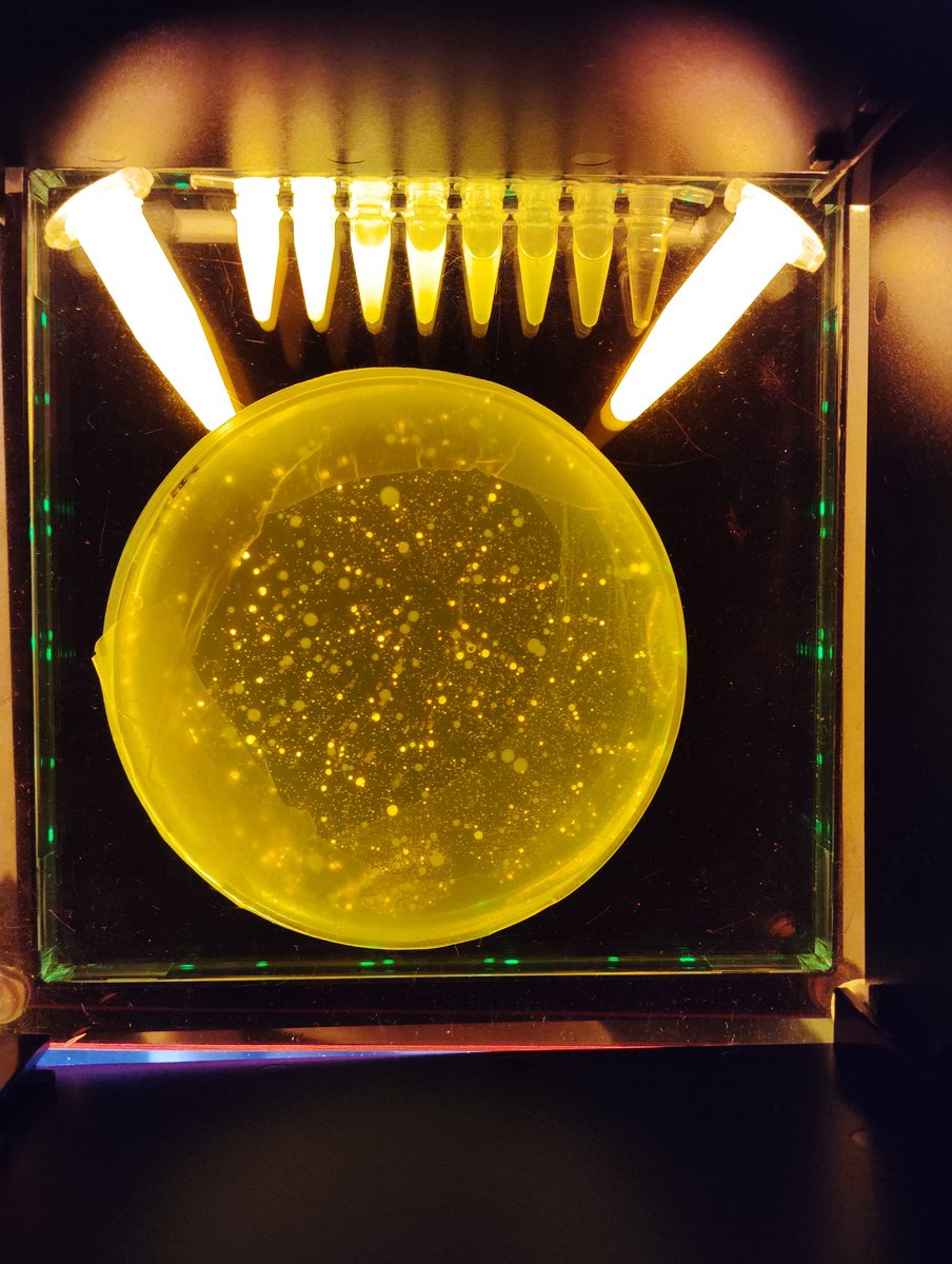 crsaparis (@crsa_paris) on Twitter photo Jour 2 de la fête de la science. On a plein de choses à vous faire découvrir. <a href="/Sorbonne_Univ_/">Sorbonne Université</a> #fds2024 Jour 2 de la fête de la science. On a plein de choses à vous faire découvrir. <a href="/Sorbonne_Univ_/">Sorbonne Université</a> #fds2024