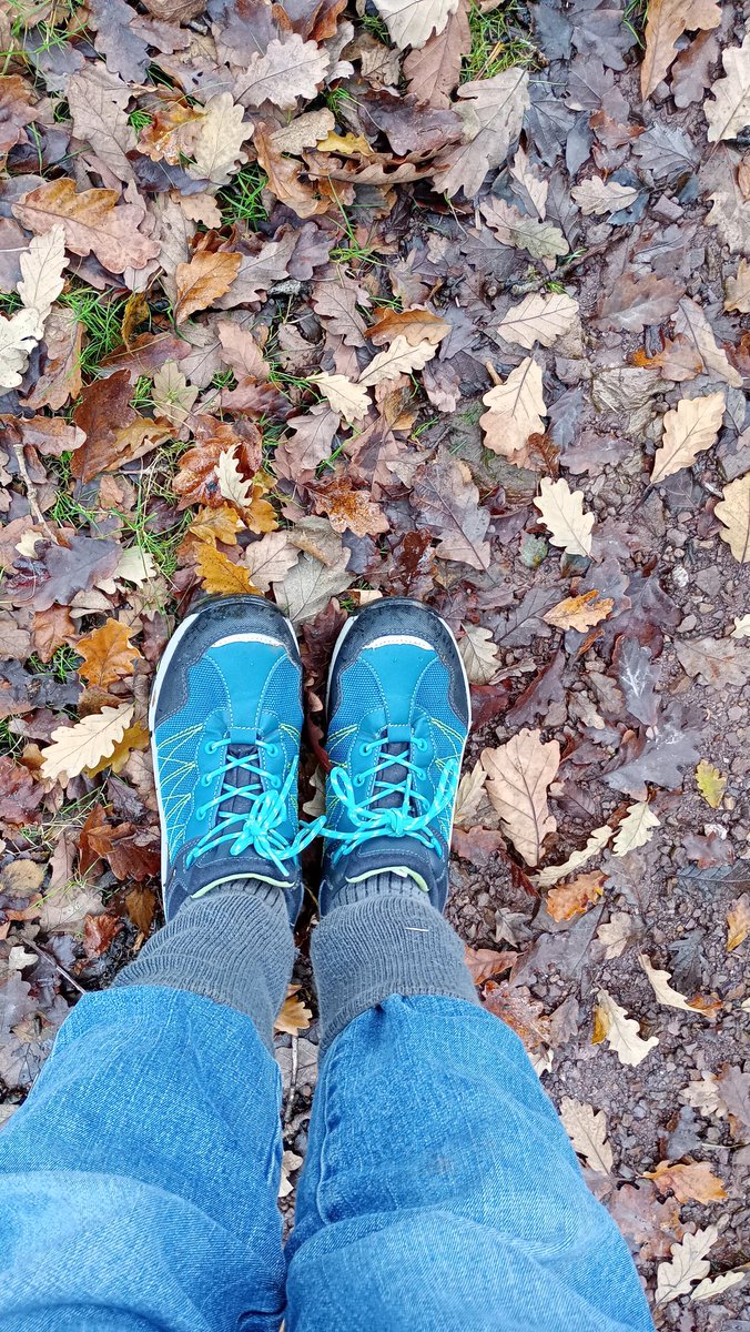 JennyKaneAuthor's tweet image. Definitely Autumn Leaves at Mill Grange weather 
jennykane.co.uk/books-2/jenny-…

@AriaFiction #MillGrange #series #contemporaryfiction #RomCom