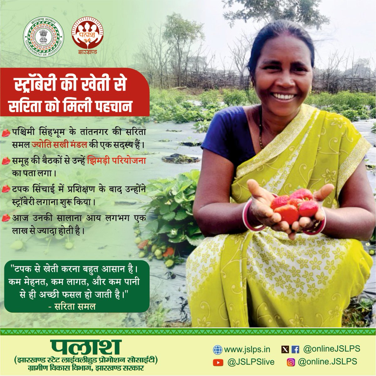 onlineJSLPS's tweet photo. पश्चिमी सिंहभूम की सरिता समल एक सफल किसान के रूप में उभर रही हैं। #झिमडी_परियोजना अंतर्गत उन्नत तकनीक से स्ट्रॉबेरी की खेती कर वह सालाना एक लाख से ज्यादा की आमदनी कर रही हैं।

@MoRD_GoI @DAY_NRLM 
@HemantSorenJMM @IrfanAnsariMLA @DC_Chaibasa https://t.co/Xbw0f8G7c9