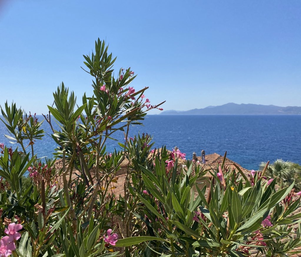 "N'ayez jamais peur de la vie, n'ayez jamais peur de l'aventure, faites confiance au hasard, à la chance, à la destinée. Partez, allez conquérir d'autres espaces, d'autres espérances. Le reste vous sera donné de surcroît." 

Henry de Monfreid