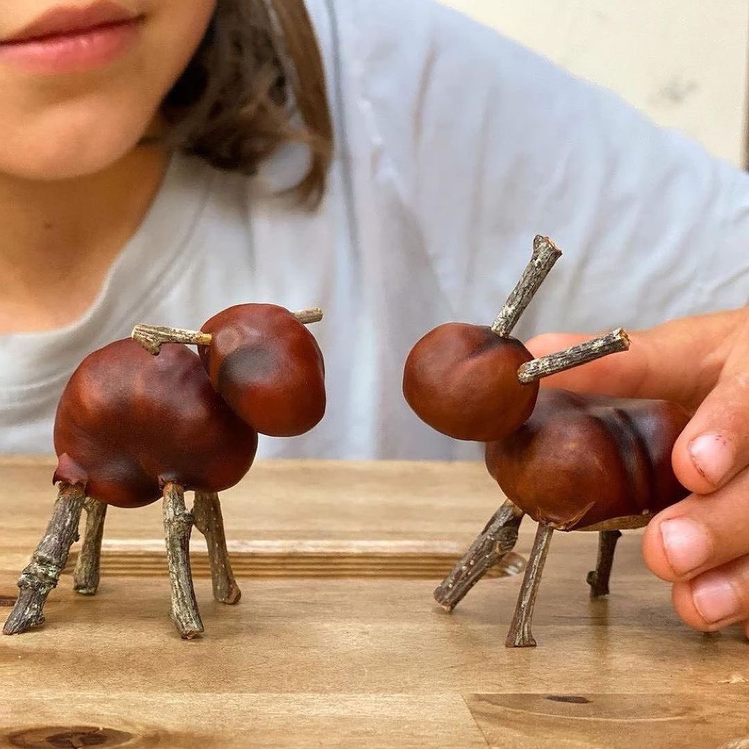 Mud & Bloom🌱 tweet media