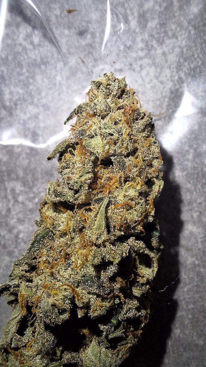 Grow.Guide420 tweet media