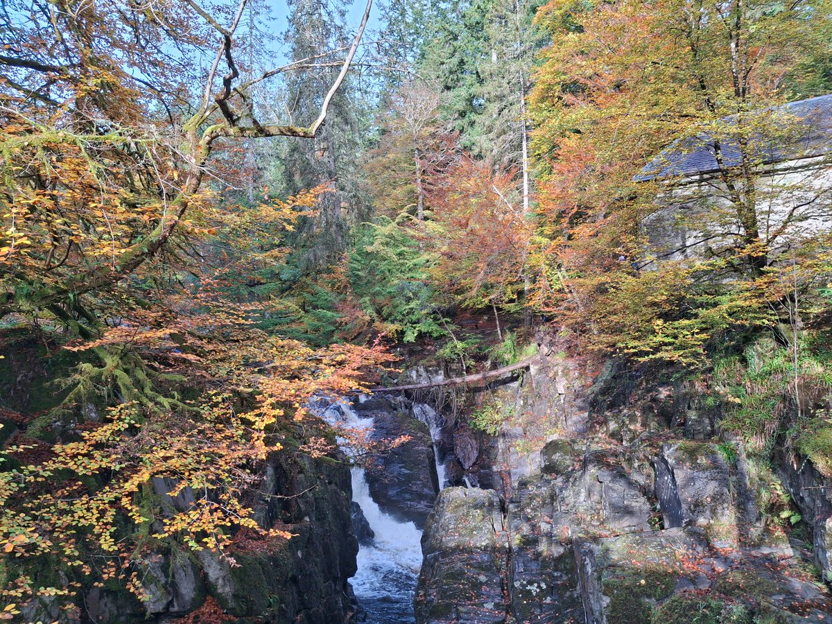 Carl Singleton tweet media