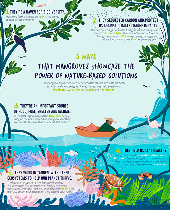 VSR_INC's tweet photo. @LicypriyaK Why #Mangrooves is more than a just a tree. 👇
#Earth
#trees
#Coastal
#Wheather
#EcoFriendly
#environment https://t.co/r5RRylpbDx