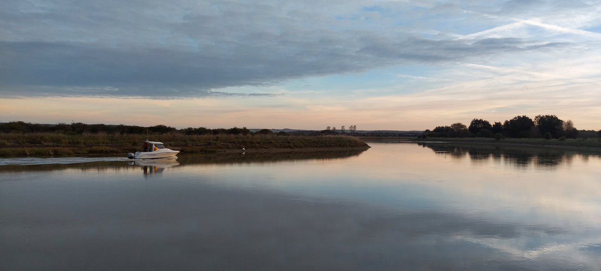 paul wells tweet media