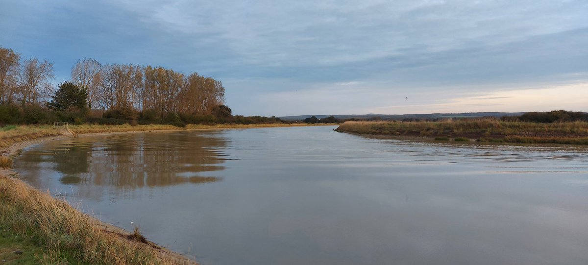 paul wells tweet media