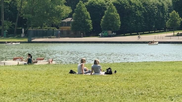 moodyonmoon's tweet image. 🌳🌳🌳