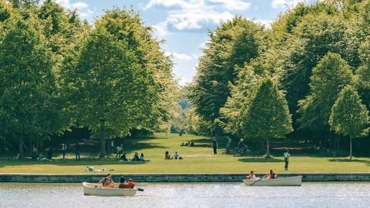 moodyonmoon's tweet image. 🌳🌳🌳