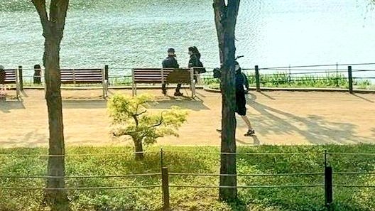 moodyonmoon's tweet image. 🌳🌳🌳