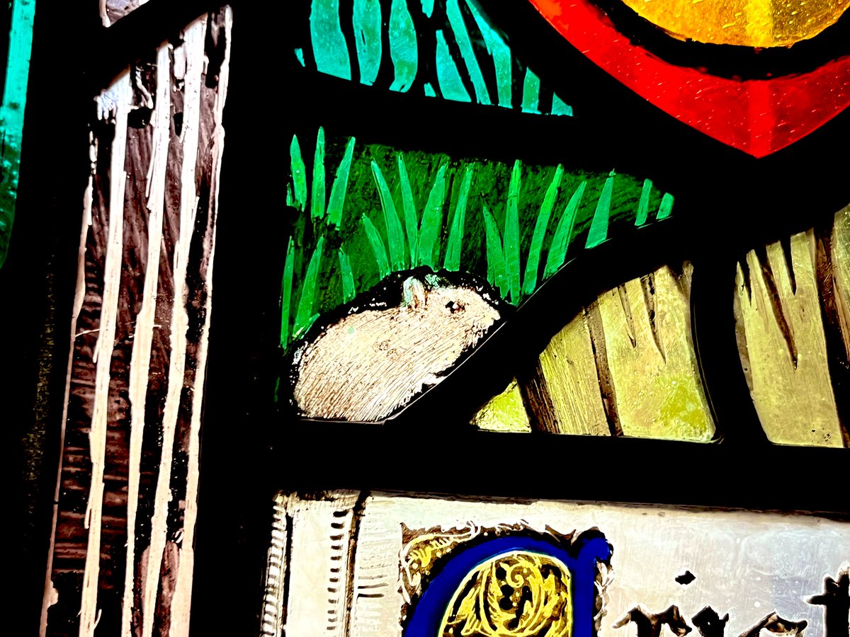 simonjveardley's tweet photo. There can be only one option for #StainedGlassSunday…beautiful detail from the St Christopher window by #TrenaCox @ChesterCath. Rather appropriate for #harvest time (just!) although it might not be a field mouse as somewhat plump! https://t.co/YBQujRNnEE