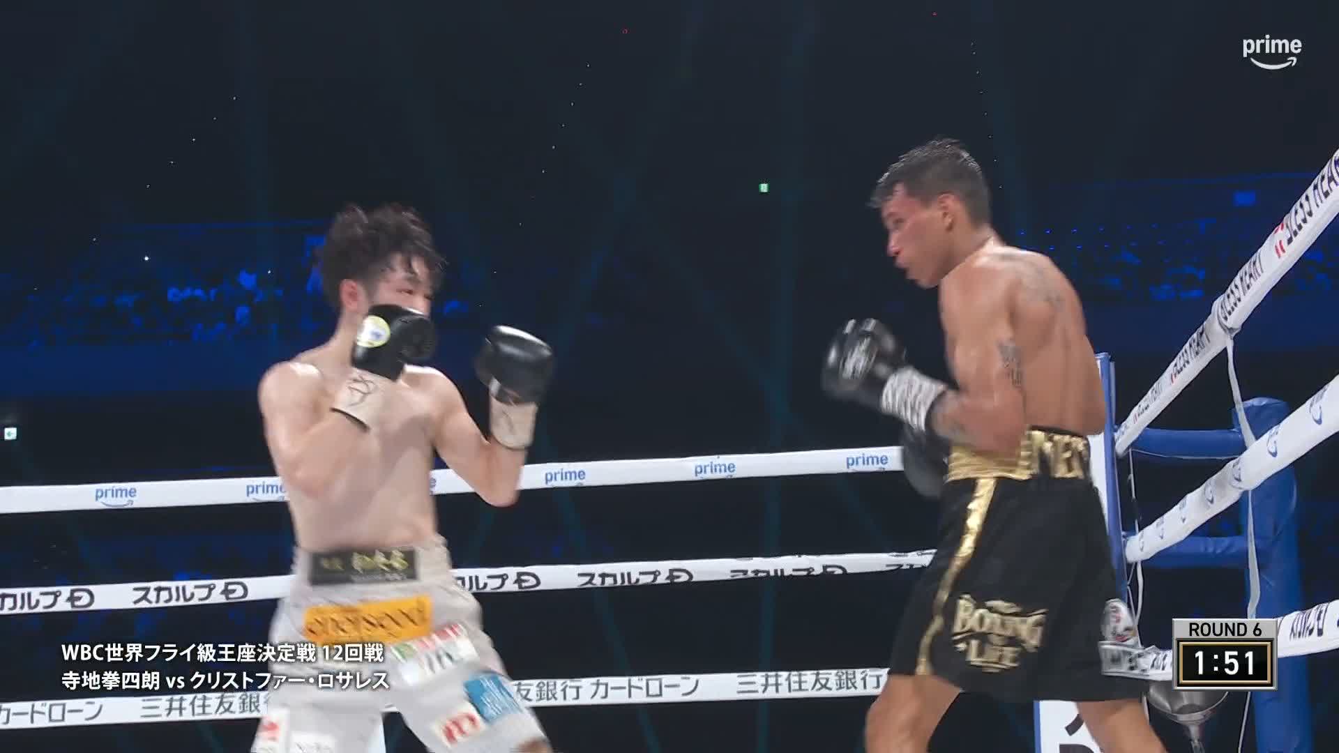 非売品★ボデイビル,プロレス,格闘技/K-1 ボブサップ 直筆サイン WCW 非売品☆ボデイビル,プロレス,格闘技/K-1 ボブサップ 直筆サイン