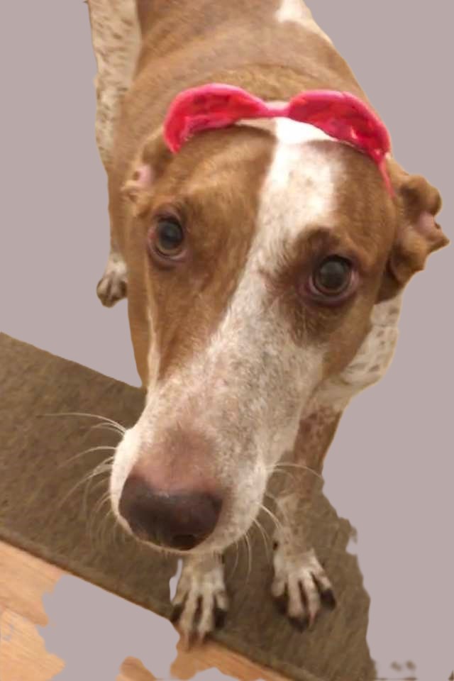 my beautiful sis Veta