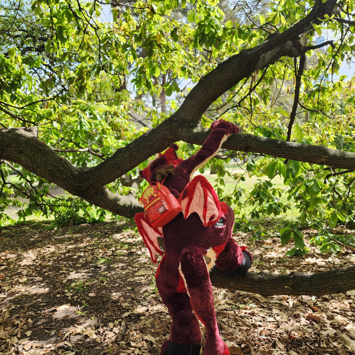 Look at this dumb dumb trying to climb a tree 

🪡 <a href="/KikiChaosC/">Kiki Chaos Creations</a>
📷 <a href="/Torca2001/">Torca</a>