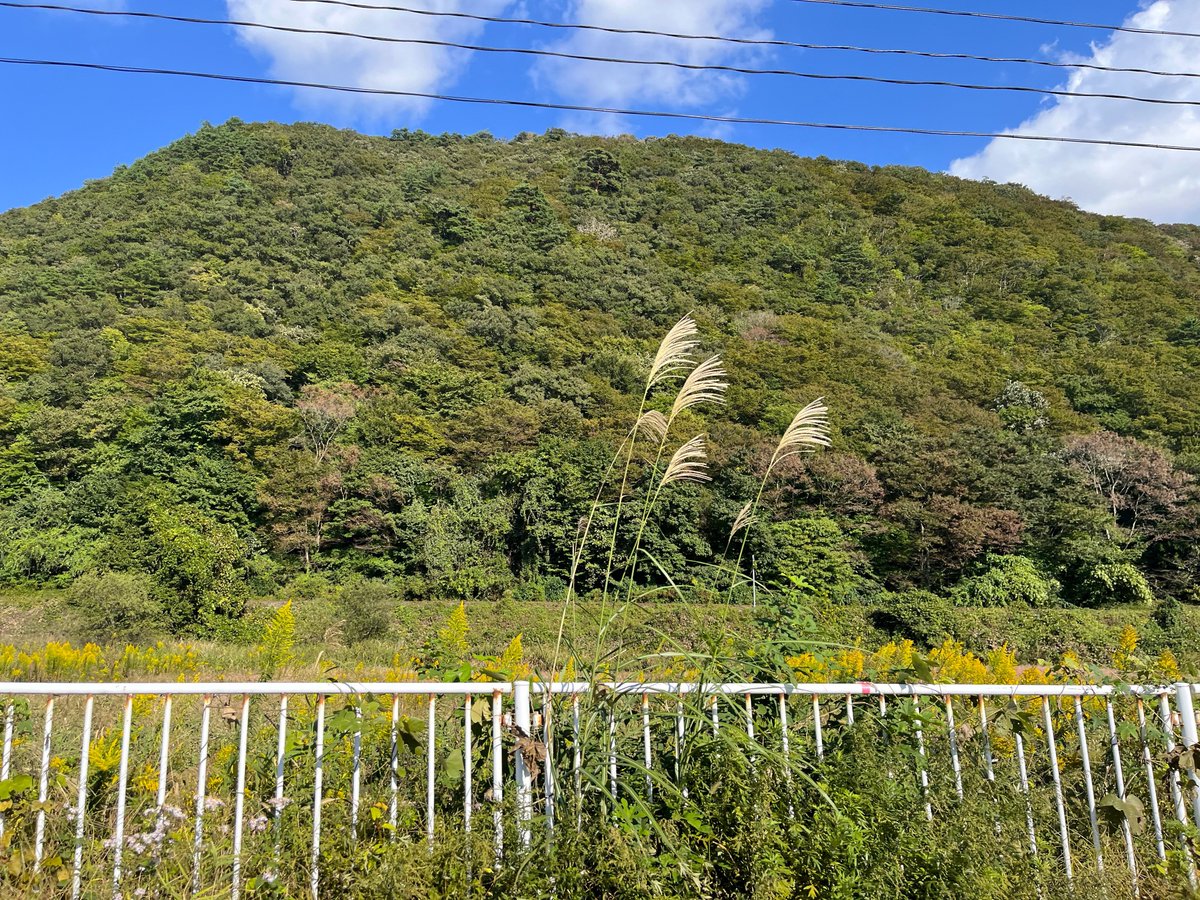 mo_kankoukousya's tweet photo. ＼紅葉はいまこんな感じ／
今年も 鳴子方面では樹木たちがすこ～しずつ色づき始めました♩
今はほんの一部で、山の方はまだまだのようです👀

🍁今シーズンは例年より遅めの見頃を迎えるといわれております。
時々、経過をお知らせいたしますね♪

#大崎市 #鳴子温泉 #紅葉 #秋たび

▼10/13 の景色 https://t.co/Wl2fI7plha