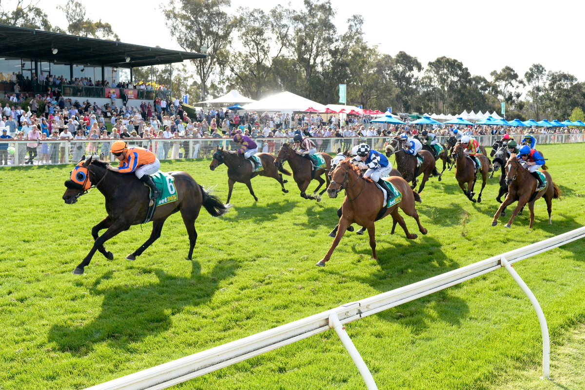 RacingVictoria's tweet photo. ⏲💙 Victory for Midnight Blue in the Seymour Cup in front of a healthy crowd of 2,500 spectators @seymourrc has completed a super weekend for the team @TeAkauRacing 🍊🥝 https://t.co/KZfqsy9y24