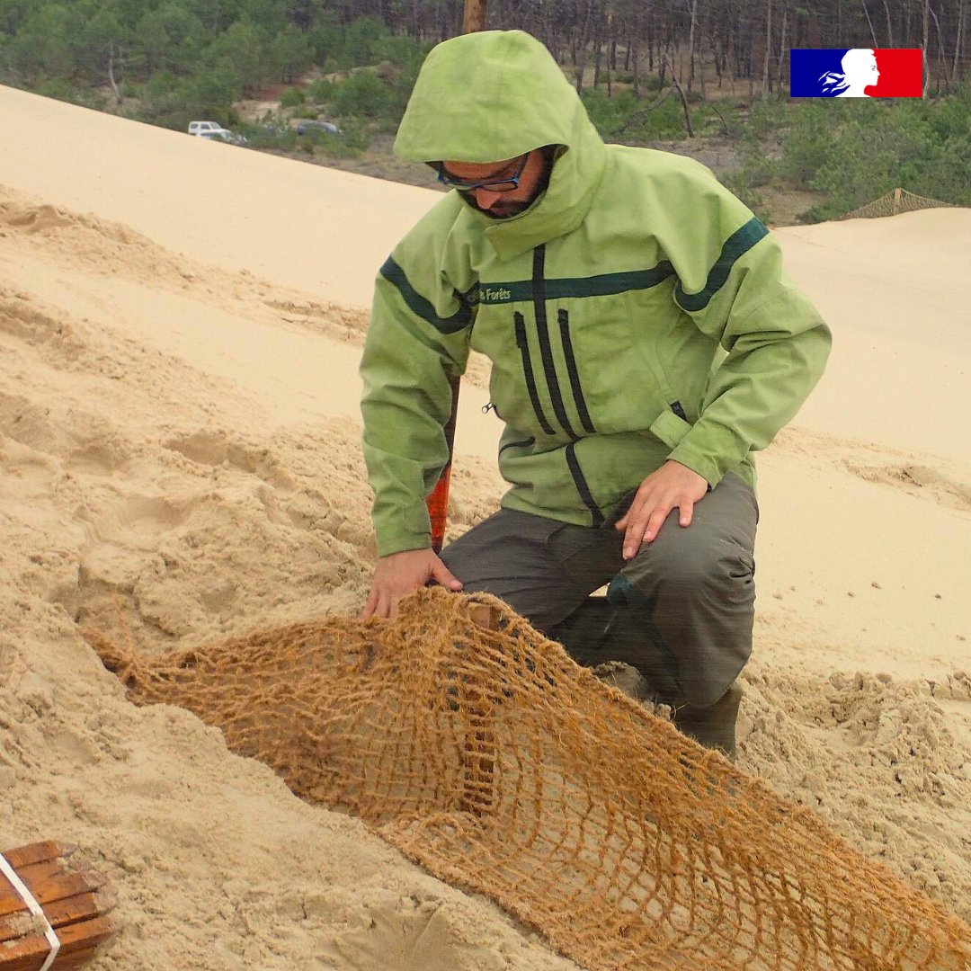 ONF_Officiel's tweet photo. Journée "Tous résilients face aux risques" 💫 : les équipes de l’ONF agissent, elles aussi, pour protéger les populations et les biens.

⛰️ En montagne

🔥Face aux feux de forêt 

🌊 Sur le littoral 

L'ONF intervient avec le soutien de l’État.

👉 https://t.co/t5DeVcF681 https://t.co/AMvSaWiRpt