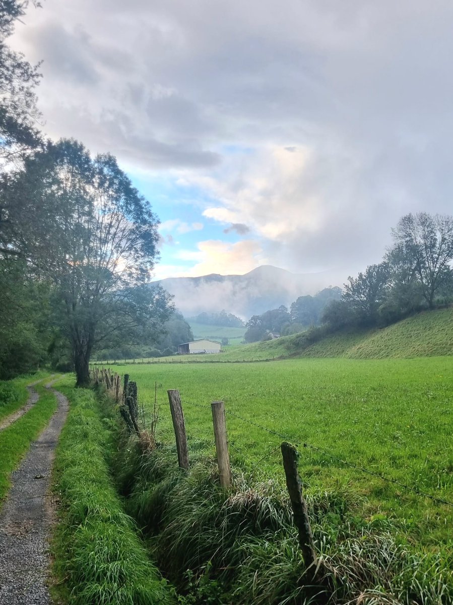 Missing my morning walk, everyday the same, everyday different.