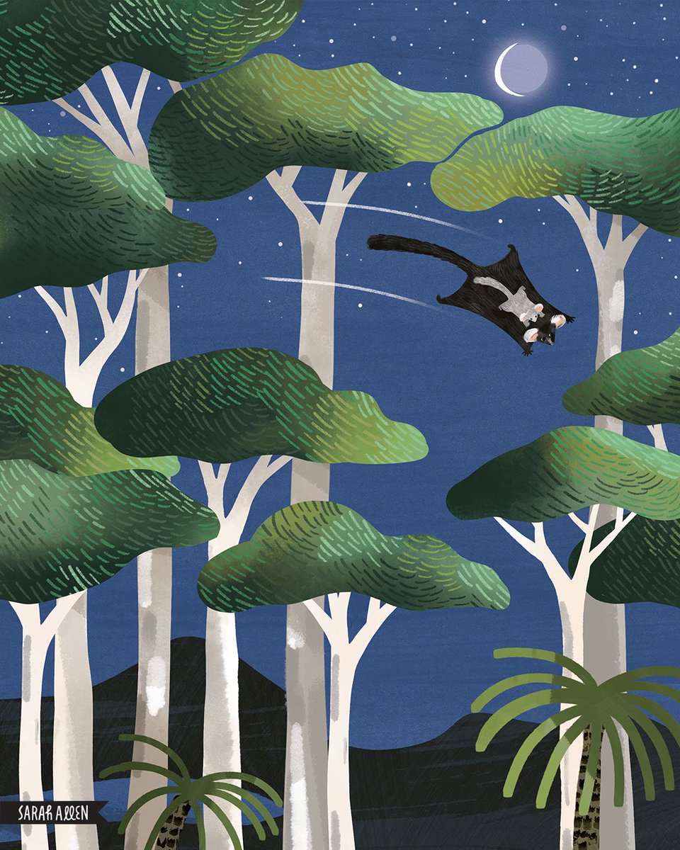 Sarah Allen Studio tweet media