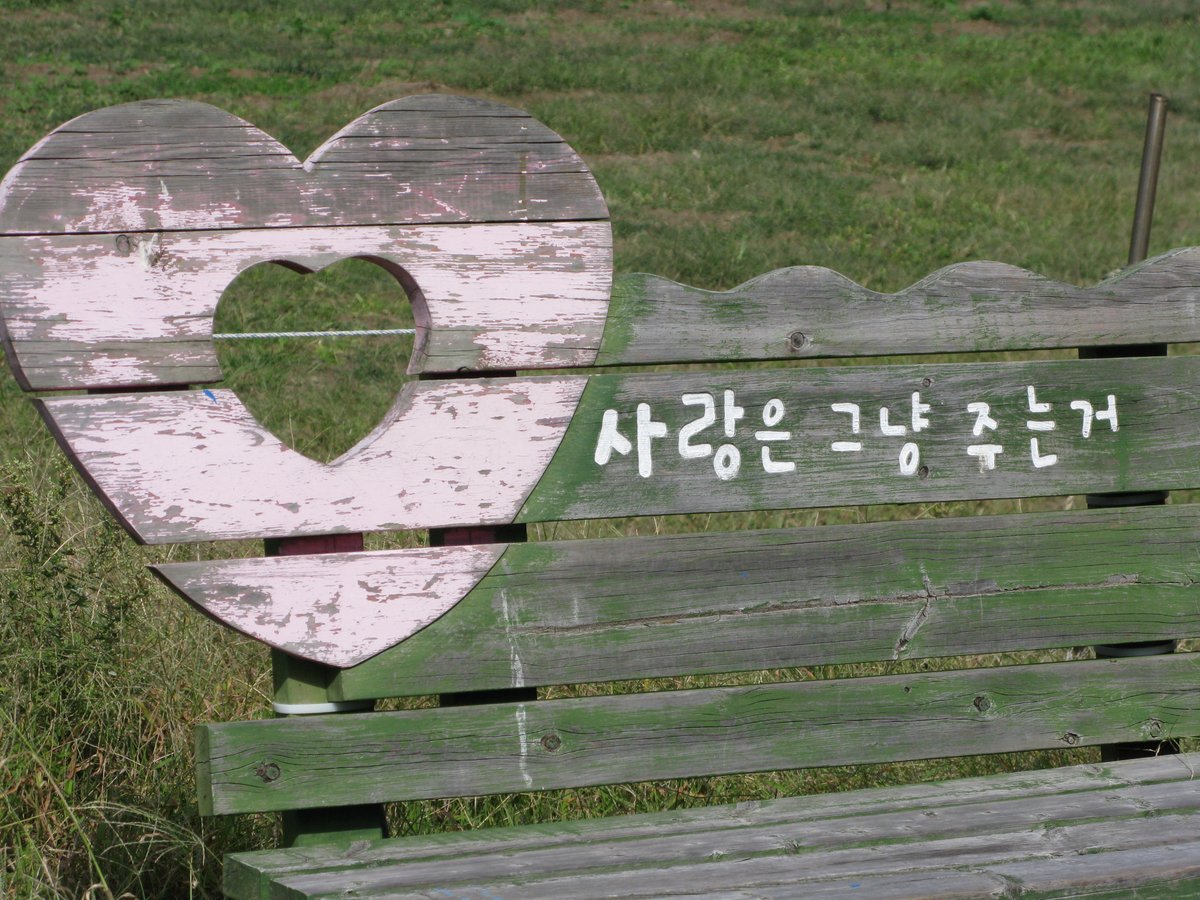 해리.ᐟ tweet media