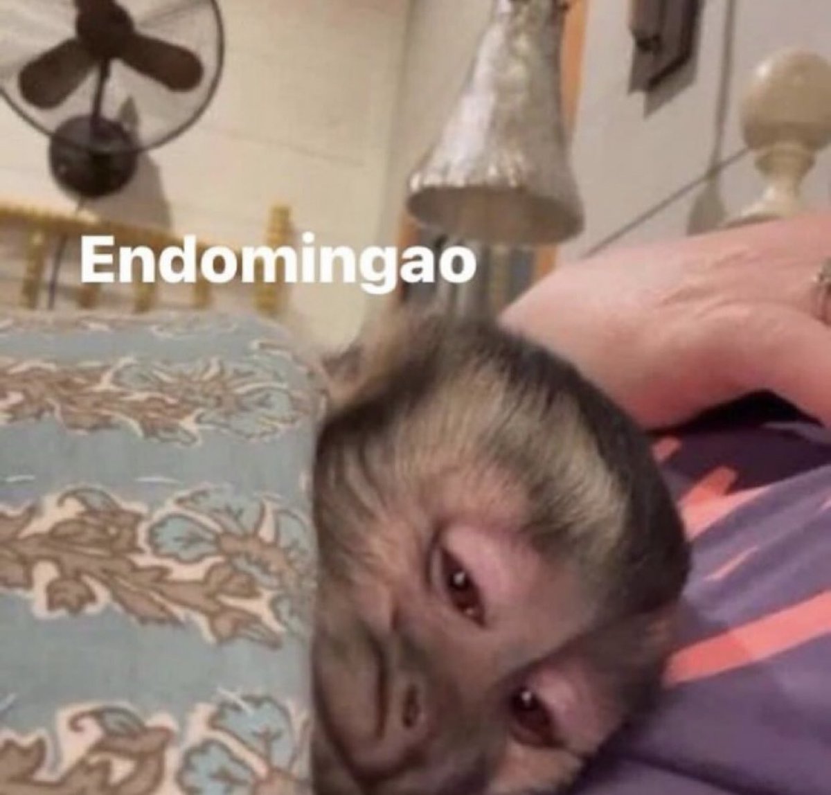 En Júpiter (@en_jupiter_) on Twitter photo 