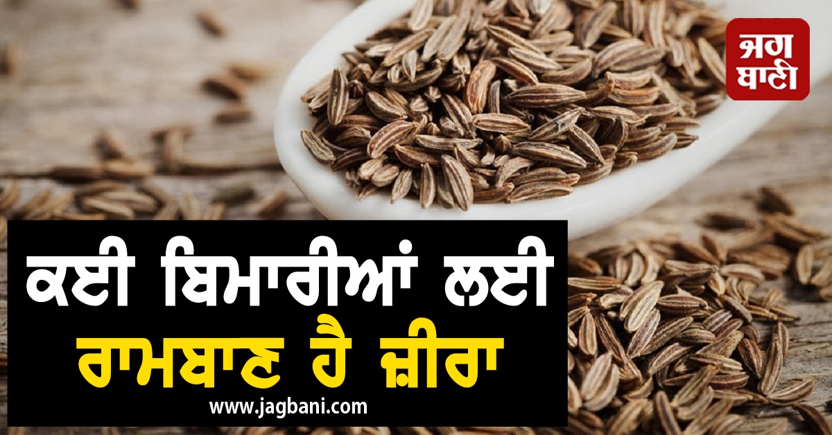 JagbaniOnline's tweet image. Health tips : ਬਲੱਡ ਪ੍ਰੈਸ਼ਰ ਸਣੇ ਕਈ ਬਿਮਾਰੀਆਂ ਲਈ ਰਾਮਬਾਣ ਹੈ ਜ਼ੀਰਾ, ਜਾਣੋ ਇਸ ਦੇ ਫਾਇਦੇ
jagbani.punjabkesari.in/health/news/cu…
#Healthtips #cumin #beneficialforhealth #diseasesaway