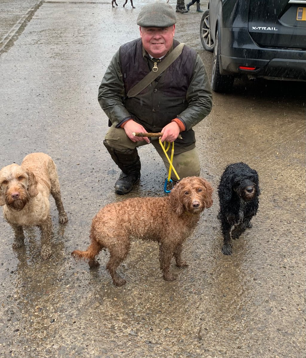 John_Furbisher's tweet photo. Our Mabel was with two other Cockapoos on a beating line yesterday. They worked brilliantly alongside the pedigree setters, labs and spaniels. Great day out. #proudmaster #takesallsorts #syndicateshooting https://t.co/lISqxqDRrE