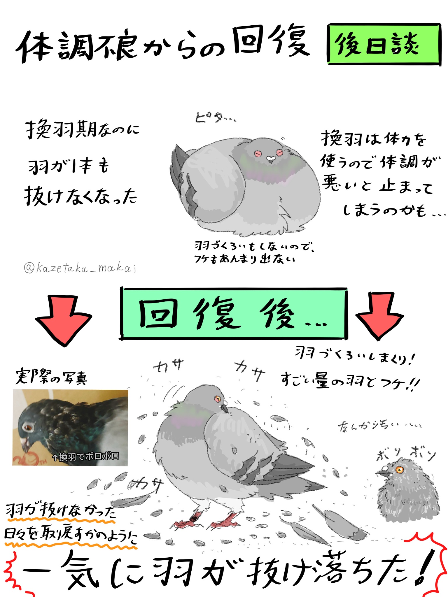 風鷹(かぜたか) on X: 