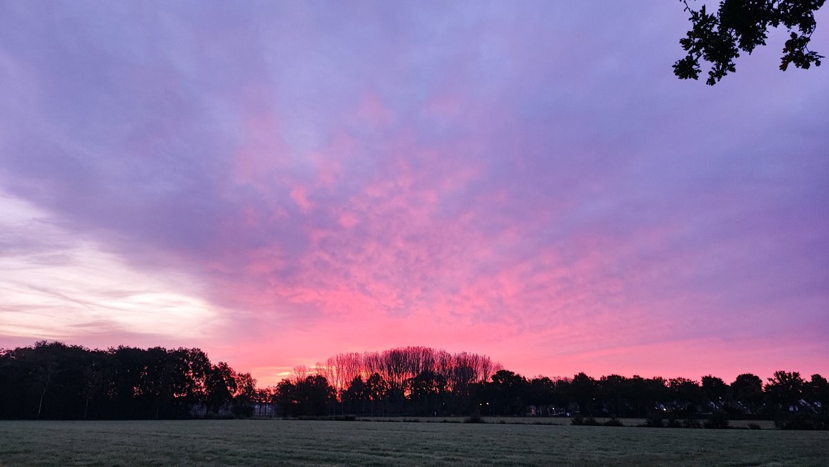 wow the sky was very pink