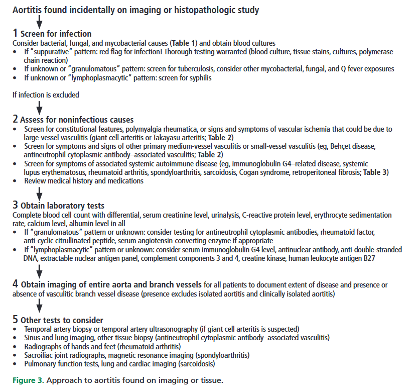 Alexandru Stieber (@alexstibi) on Twitter photo Really useful review article on noninfectious #aortitis, the many possible groups of etiologies, their work-up and the need for adapted treatment decisions.
<a href="/ClevelandClinic/">Cleveland Clinic</a>
ccjm.org/content/91/10/… Really useful review article on noninfectious #aortitis, the many possible groups of etiologies, their work-up and the need for adapted treatment decisions.
<a href="/ClevelandClinic/">Cleveland Clinic</a>
ccjm.org/content/91/10/…